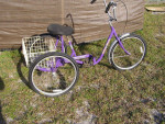 ADULT TRIKES NEW OR USED