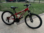 Raleigh scout xc mountain bike