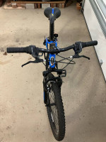 24” Schwinn Thrasher