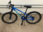 24” Schwinn Thrasher