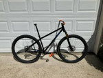 Cutom Marino Steel 29er