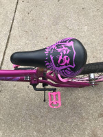 A 20" Girl Bicycles