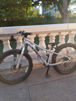 Youth Mountain bike