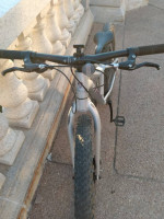 Youth Mountain bike