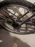 Roadmaster ladies mountain Climber Bike