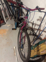 Roadmaster ladies mountain Climber Bike