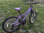 FUJI Dynamite 2.0 Girls BIKE