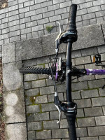 FUJI Dynamite 2.0 Girls BIKE