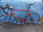 Bianchi specialissima