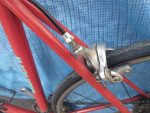 Bianchi specialissima
