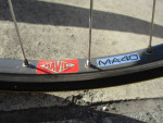 Vintage ~ 1980's ~ Eddy Merckx ~ Mexico ~ 49cm ~ Campagnolo ~ Road Bik