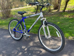 Diamondback Outlook