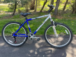 Diamondback Outlook
