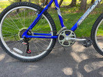 Diamondback Outlook