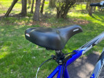 Diamondback Outlook