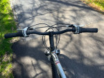 Diamondback Outlook