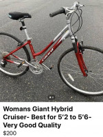 Giant Hybrid- Best For 5’2 to 5’6– Delivery Possible