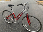 Giant Hybrid- Best For 5’2 to 5’6– Delivery Possible