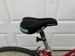 Giant Hybrid- Best For 5’2 to 5’6– Delivery Possible