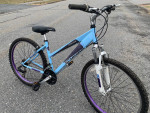 Womans Schwinn Cruiser- Best for 5’ to 5’6