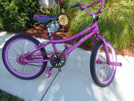 2 girls 20 inch bikes