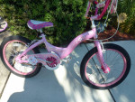 2 girls 20 inch bikes