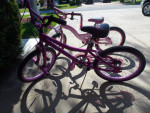 2 girls 20 inch bikes