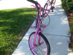 2 girls 20 inch bikes