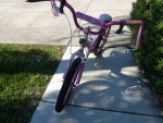 2 girls 20 inch bikes