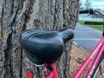 Giant Nutra