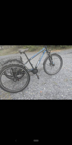 Heavy Duty Tricycle 26" wheels