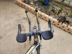 Tri bike large
