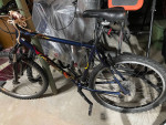 Multiple Bicycles for sale Mostly Vintage!! Trek Navigator