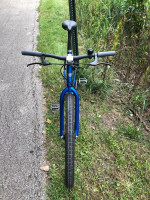Electra Moto 29"