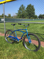 Schwinn Cruiser custom