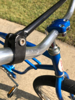Schwinn Cruiser custom