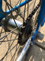 Schwinn Cruiser custom