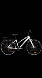 A PAIR of infinity bicycles