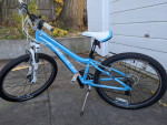 Girls 24" Fuji Bicycle