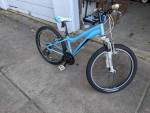 Girls 24" Fuji Bicycle