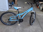 Girls 24" Fuji Bicycle