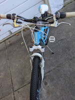 Girls 24" Fuji Bicycle