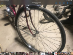 Schwinn Breeze vintage woman’s bike