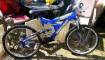 Raging rhino bike