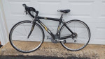 All-Carbon Road Bike 49cm Shimano Ultegra Group