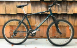 Diamondback
