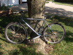 Bicycle Mongoose Sycamore 26"