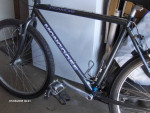 Bicycle Mongoose Sycamore 26"