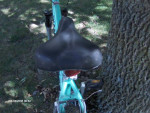 Bicycle Diamond Back 26" Girls/Womens