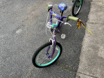 Girls Bike